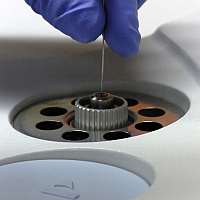GC Injection port